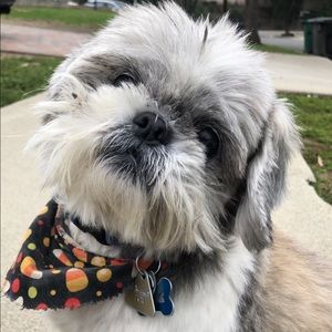 Meet your Posher, Alex